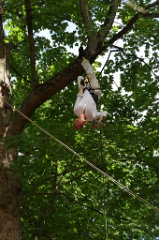 2 dans l arbre 002 * 6000 x 4000 * (10.62MB)